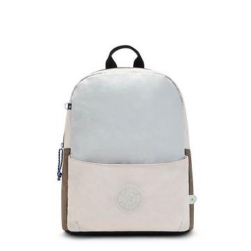 Kipling Sonnie 15" Backpack Laptop Veske Sølv Grå | NO 1545DF